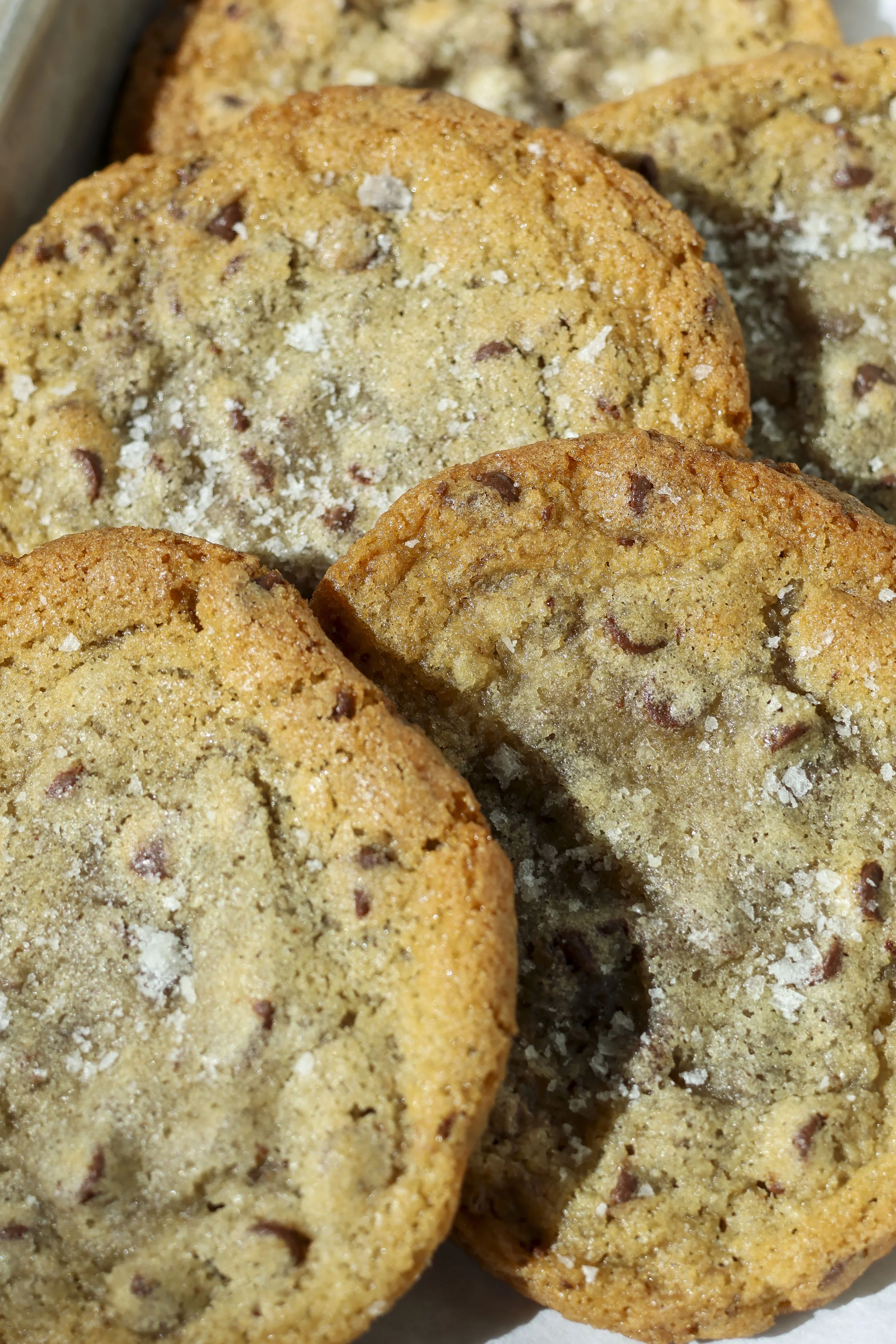 Close-up of several chocolate chip cookies with a slightly golden-brown color and sugar crystals on top.