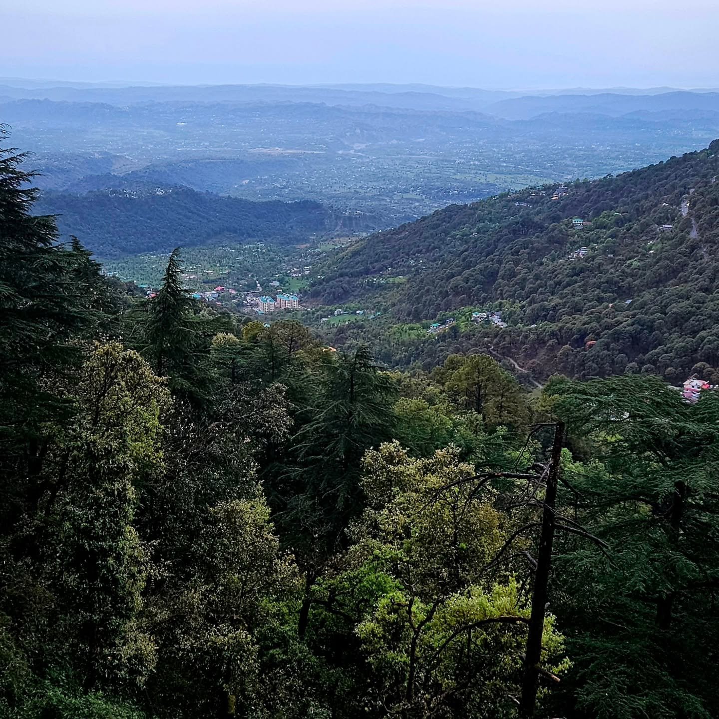 Dharamshala wasn&rsquo;t just a pretty mountain stop.

I went to the Dalai Lama temple, walked through the Tibetan Museum, and stood in monasteries that carry a history most of us only vaguely understand. Learning about Tibet&mdash;the exile, the res