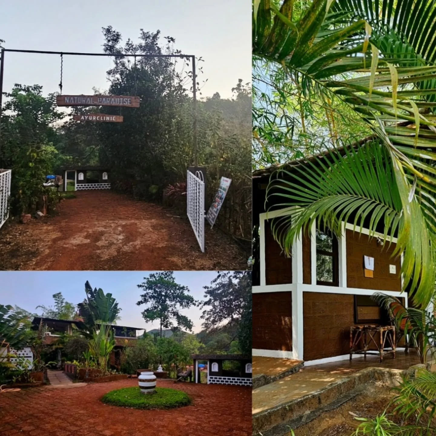 I spent the past eight days at Natural Paradise Ayurvedic Resort.

The days fell into a simple rhythm &mdash; morning asana yoga, daily treatments and massages, vegan meals designed to support the detox process, and evenings with pranayama and medita