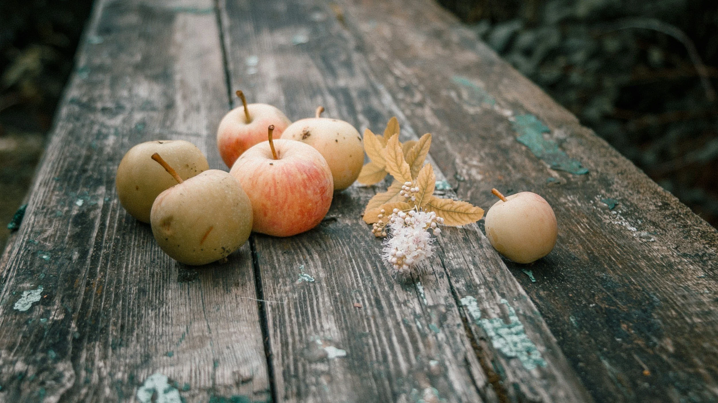 A group of apples and a small branch with dried leaves and white flowers on a weathered wooden surface.