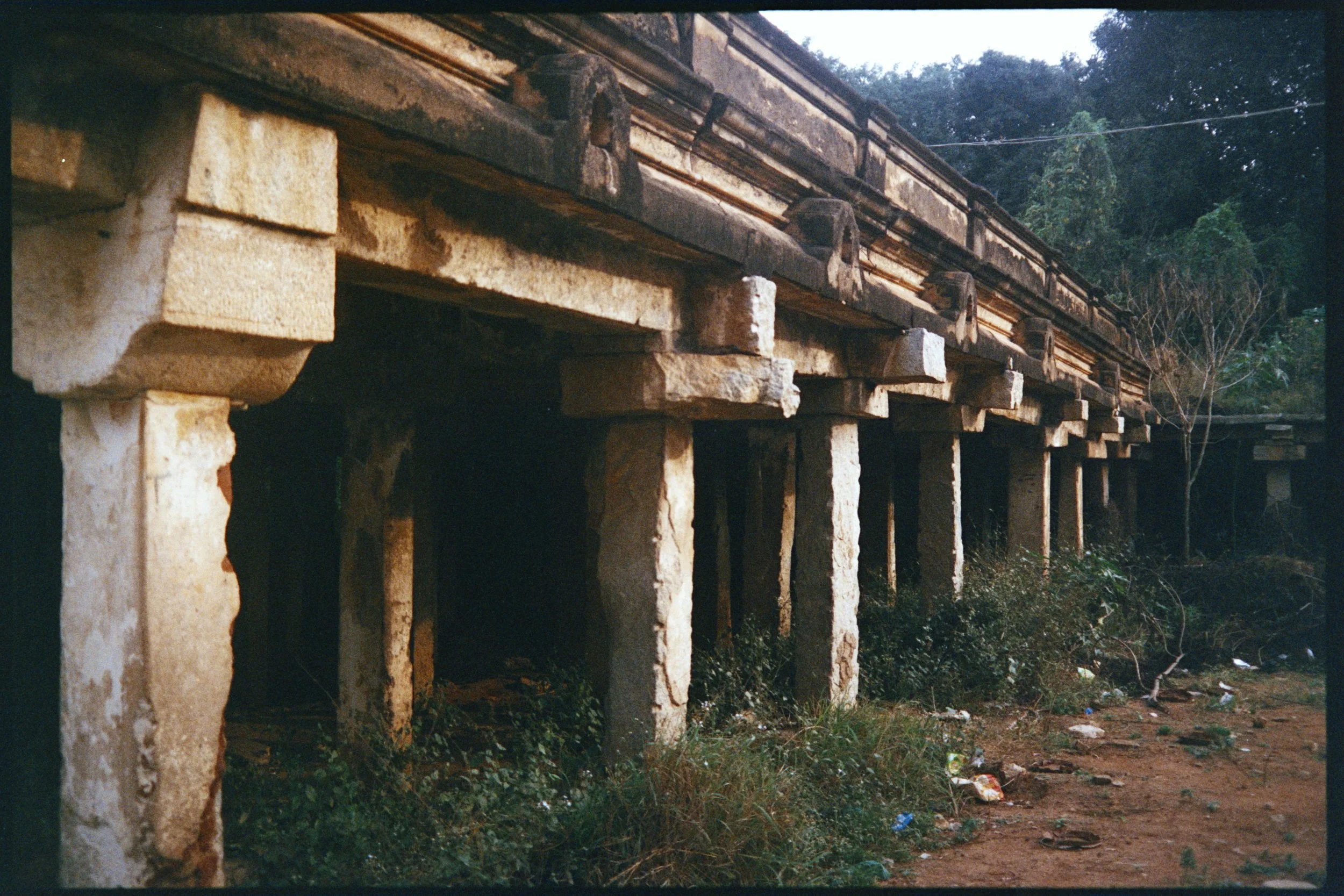 Pro Scans 61263.jpg