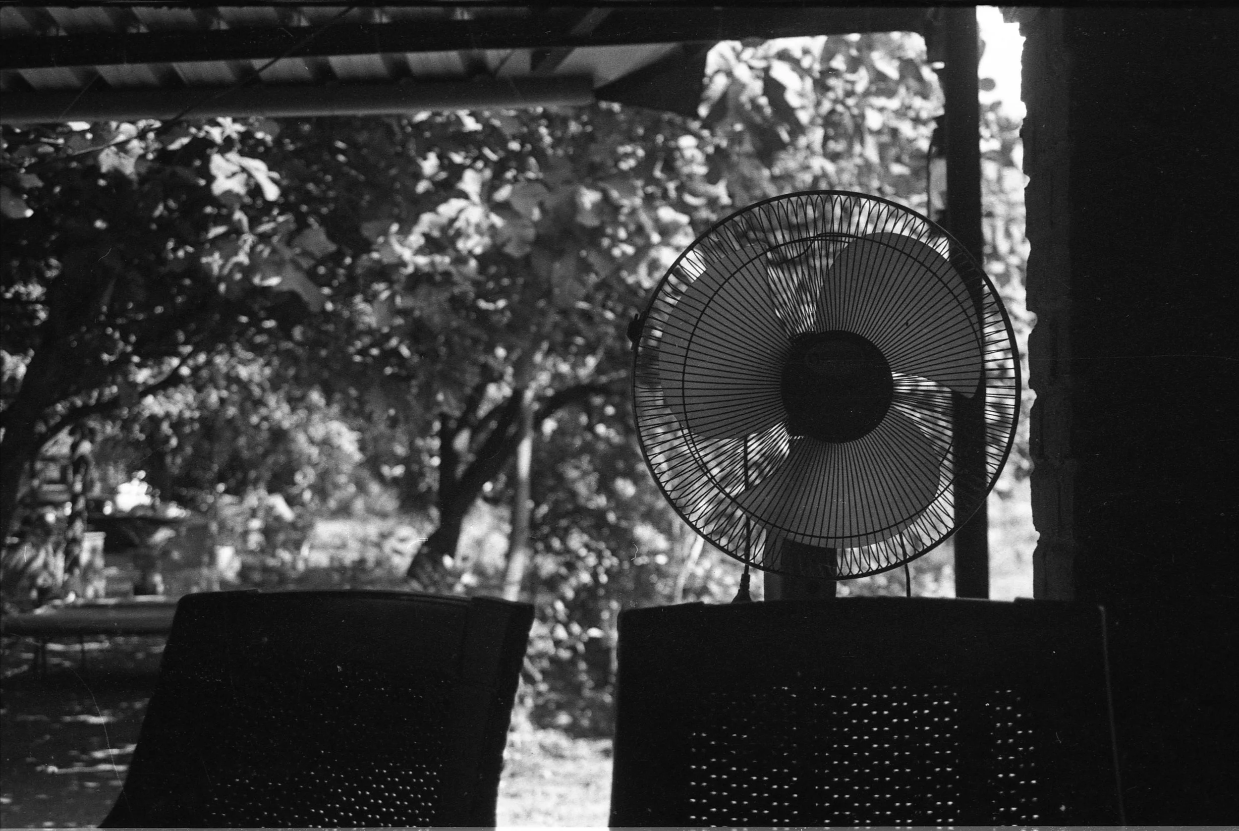 FIRST ROLL20251209_14462941_033.jpeg