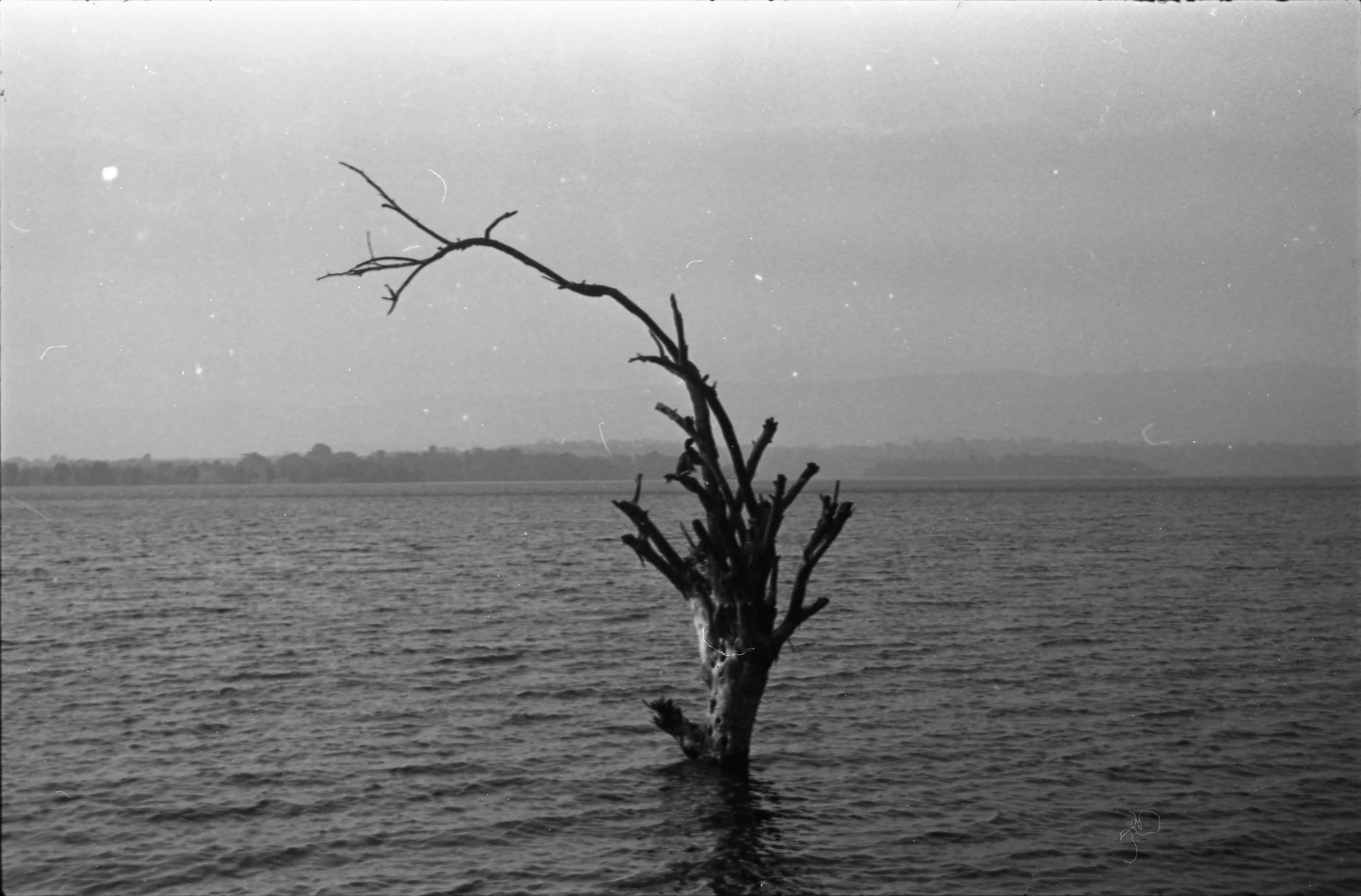 FIRST ROLL20251202_16143037_015.jpeg