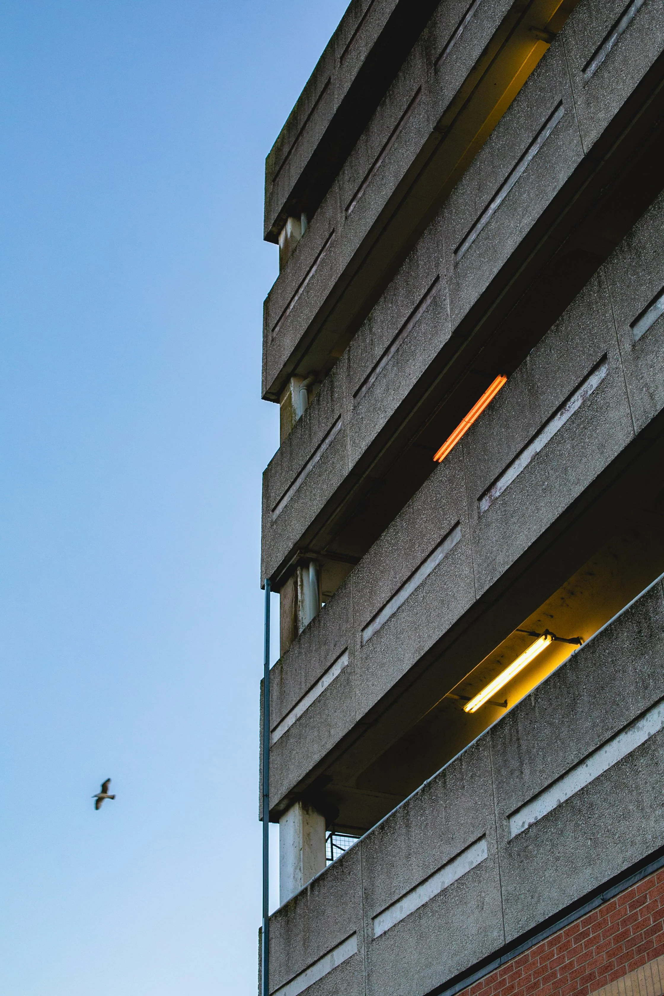 Close-up of a tall concrete building with horizontal slit windows and colored lights, with a clear blue sky and a bird flying nearby.