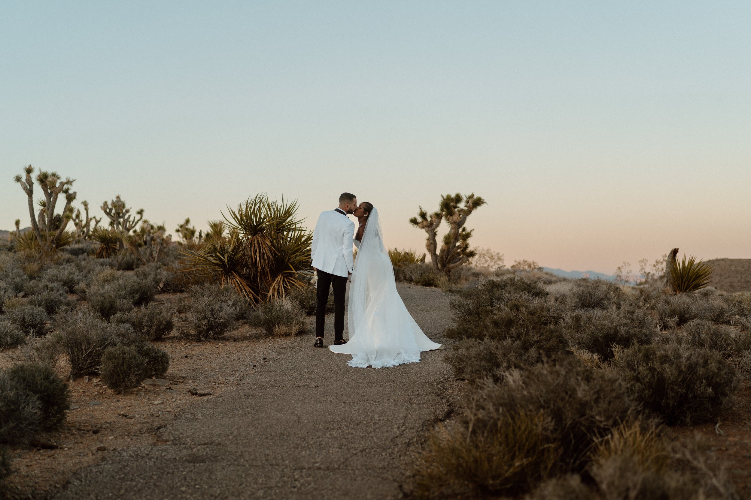 A bride and groom holding hands and kissing in a desert landscape with cacti during sunset.
