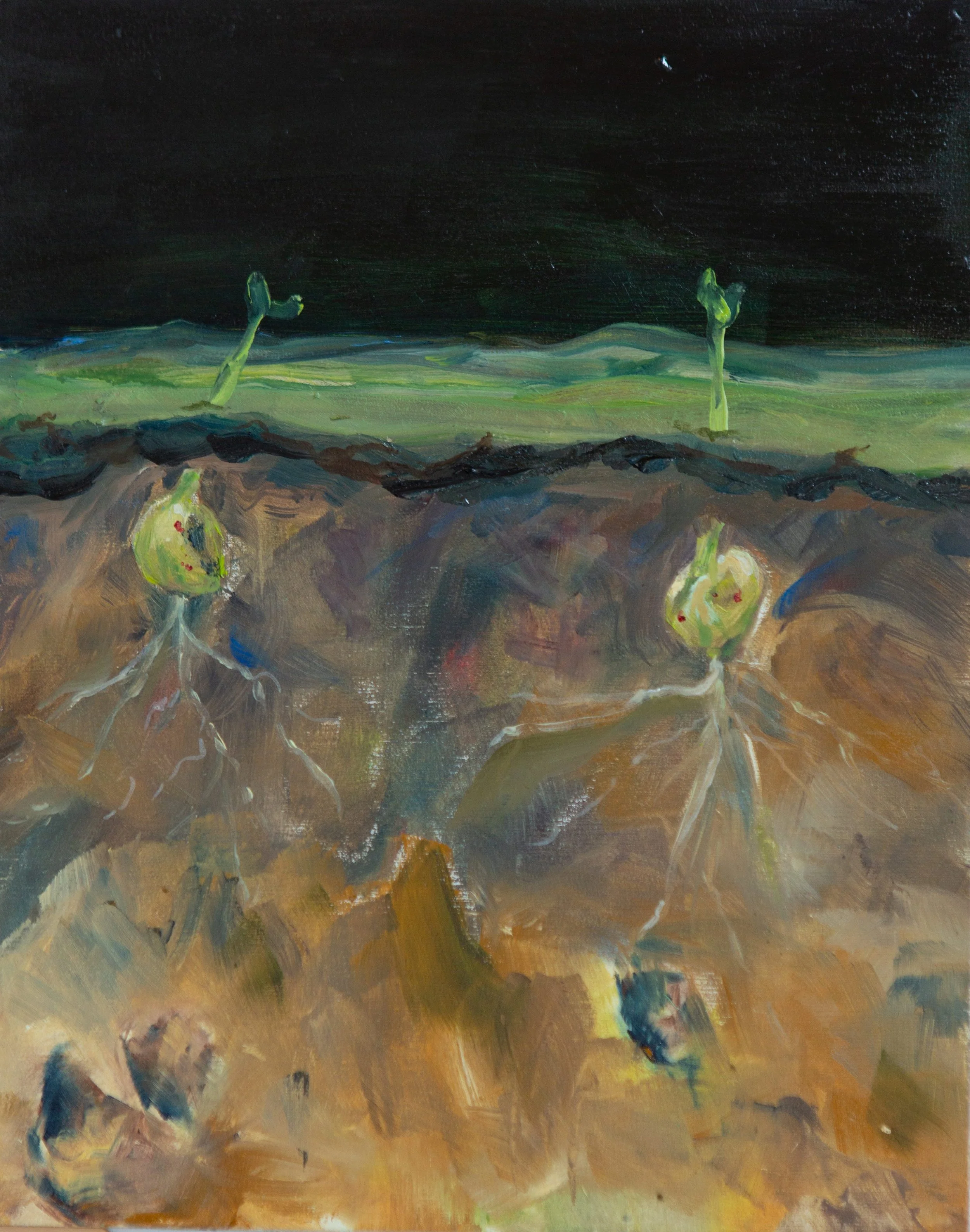 They Always Grow at Night,
30x24cms, oil on board