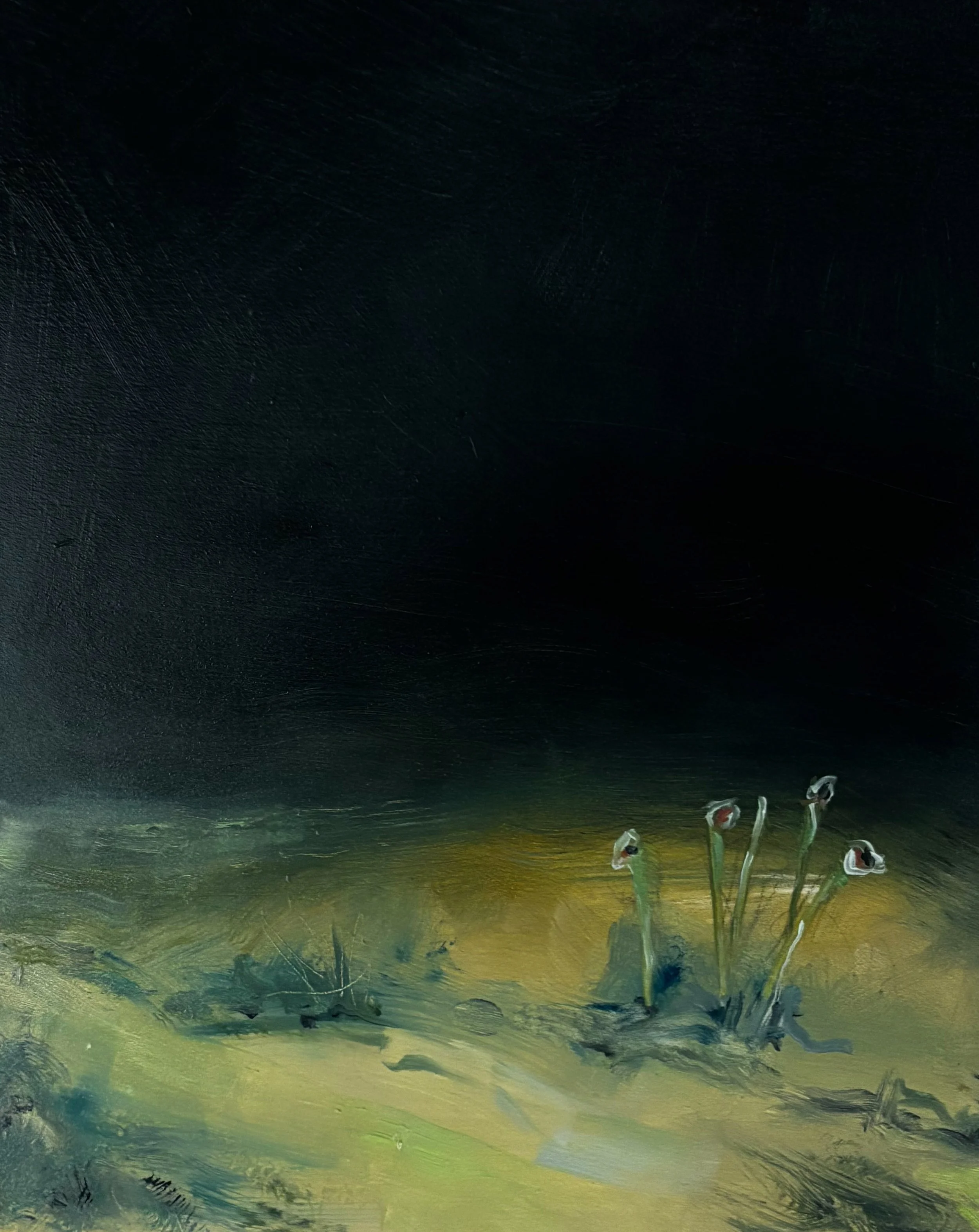 Barren
30x23cms, oil on board