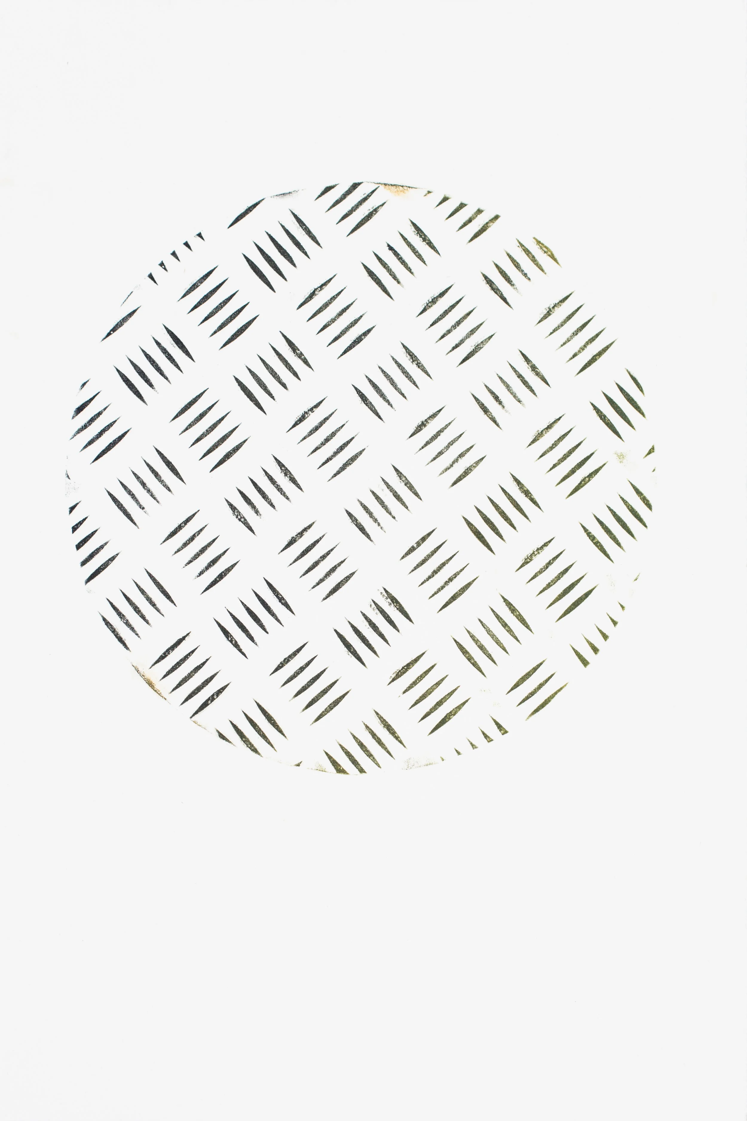 Discs-1.jpg