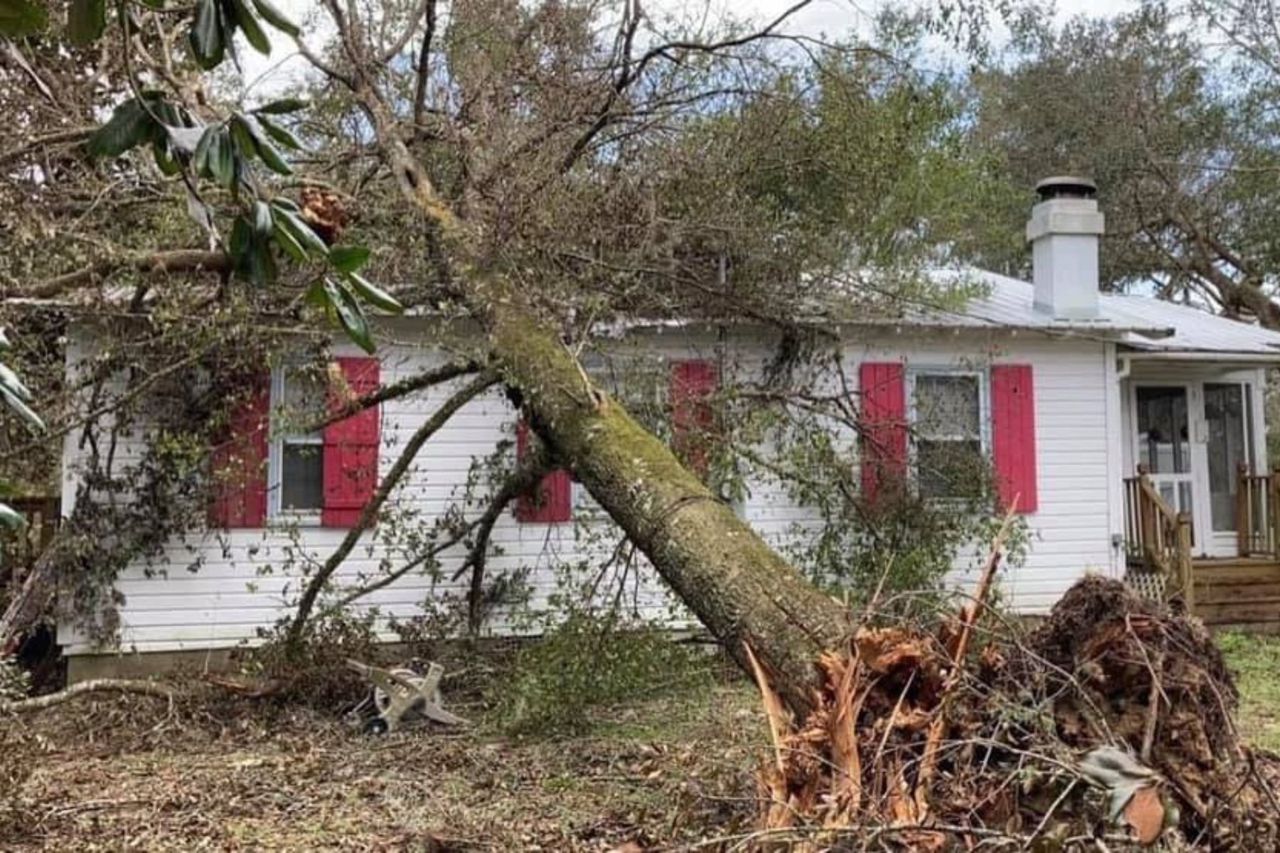 A large tree has fallen on a white house with red shutters, causing damage to the house and strewn debris around the yard.