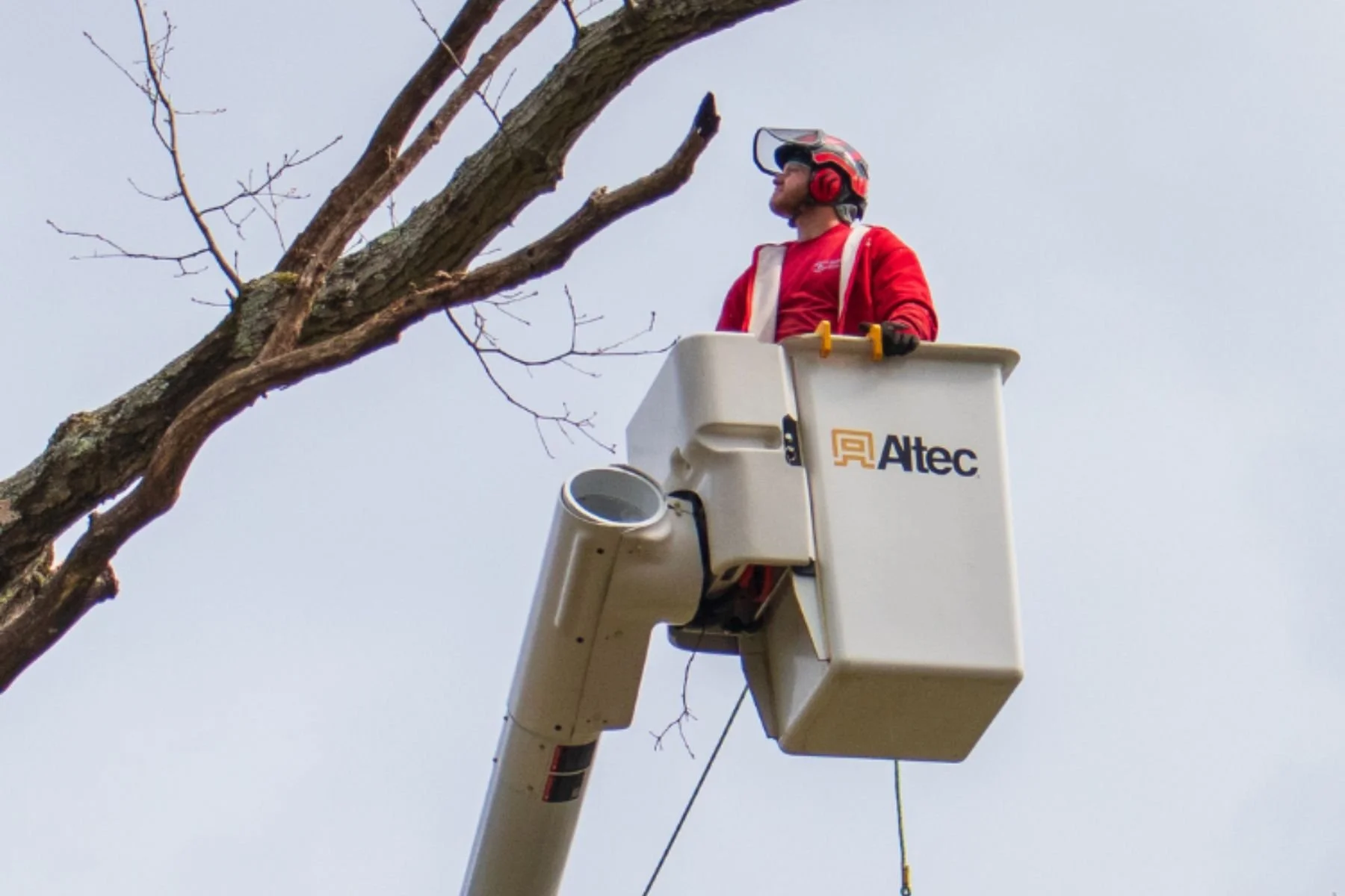 A worker in a red jacket and helmet is elevated on a bucket lift, trimming a tree branch against a cloudy sky.