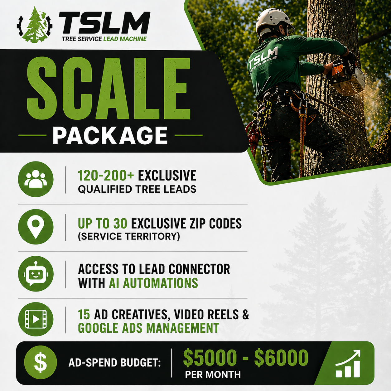 Scale Package