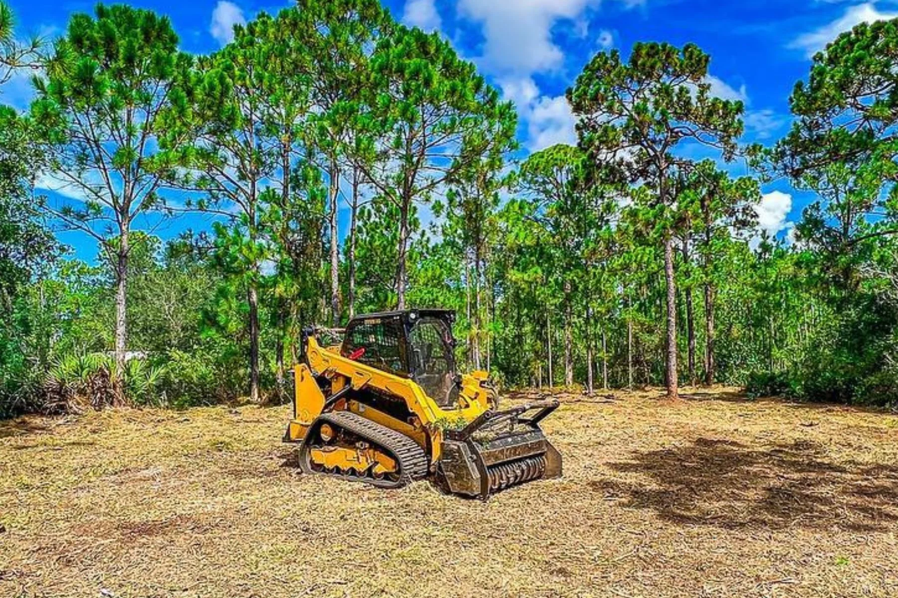 A yellow skid steer loader working in a forest clearing surrounded by tall green trees under a partly cloudy sky.
