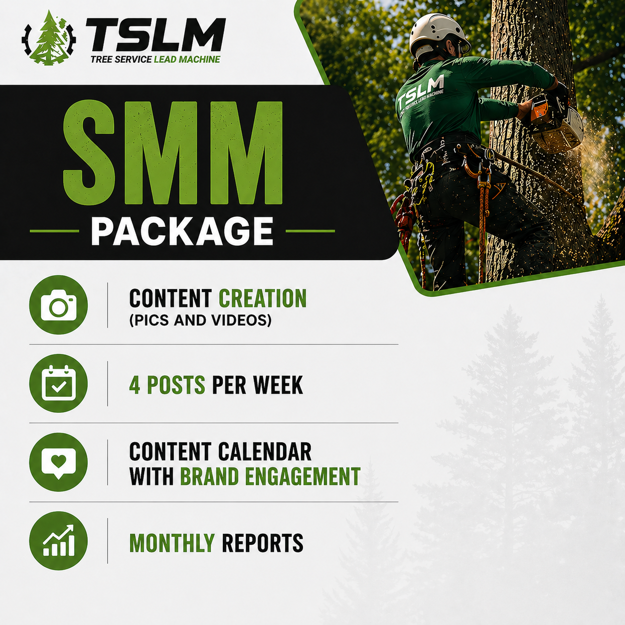 Social Media Management
