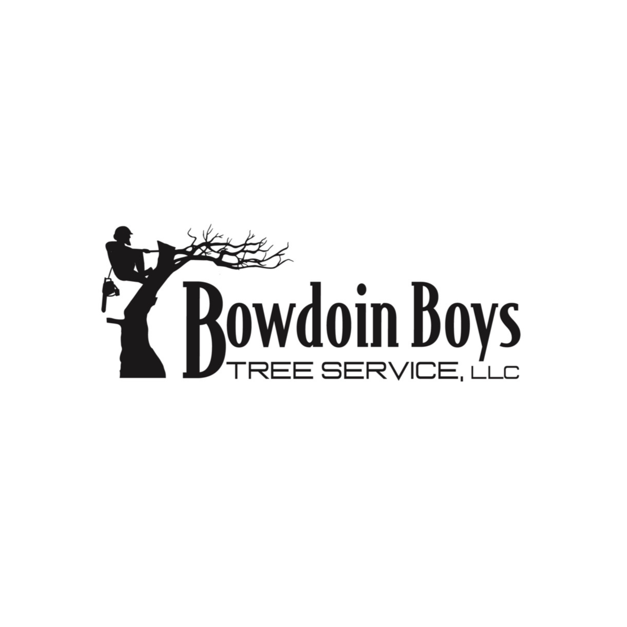 Silhouette of a person sitting on a tree branch holding a chainsaw, with trees and debris around, and text that reads 'Proudly Downing Boys Tree Service LLC'.