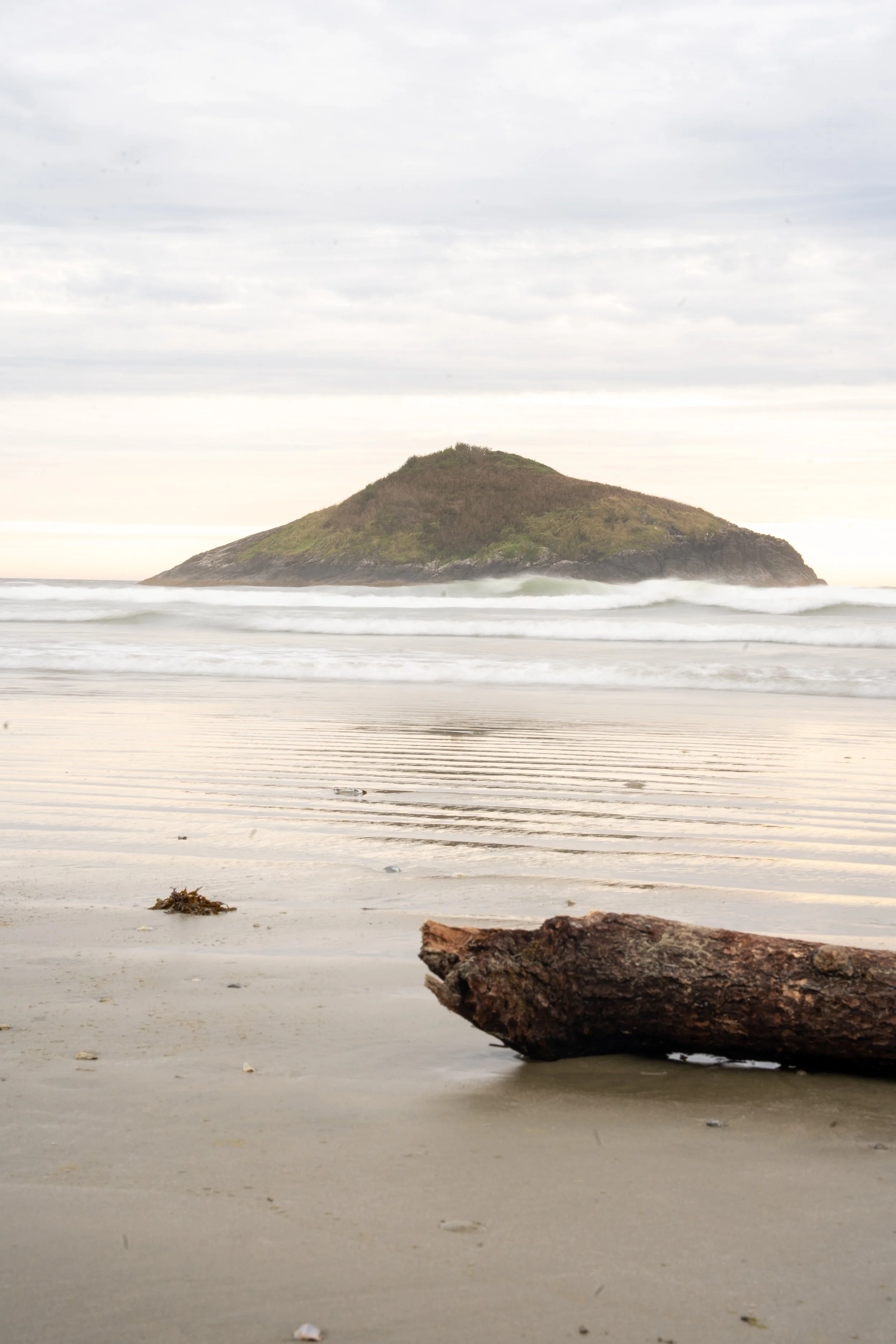 A quiet beach with a large piece of driftwood in the foreground, ocean waves, and a small green hill or island in the distance under a cloudy sky.