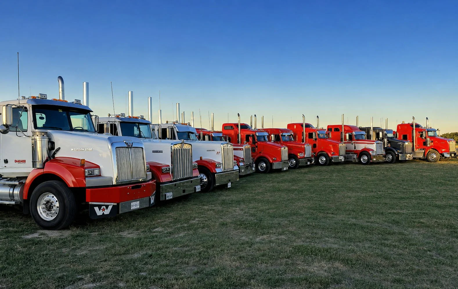 Row of red and white semi-truck tractors parked on a grassy field under a clear sky.