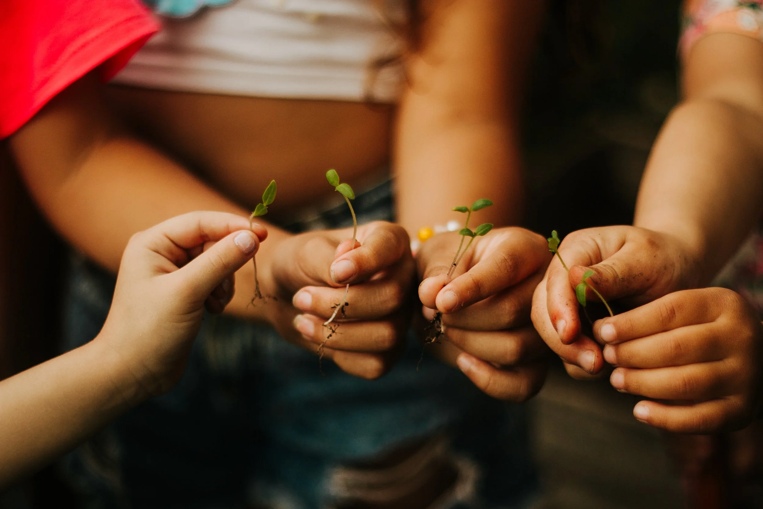 agroecologia é o caminho