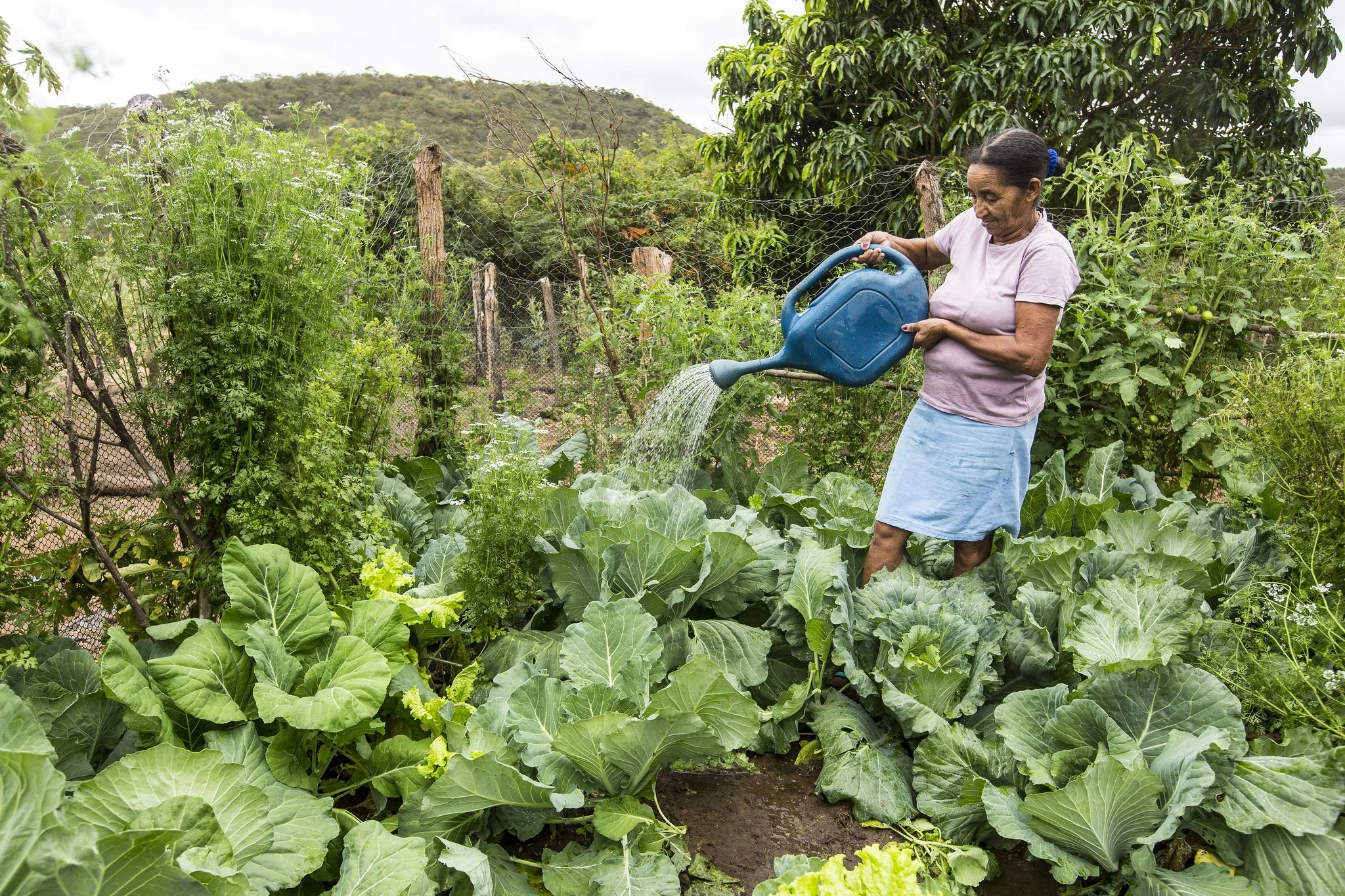 Um encontro dedicado às mulheres agricultoras
