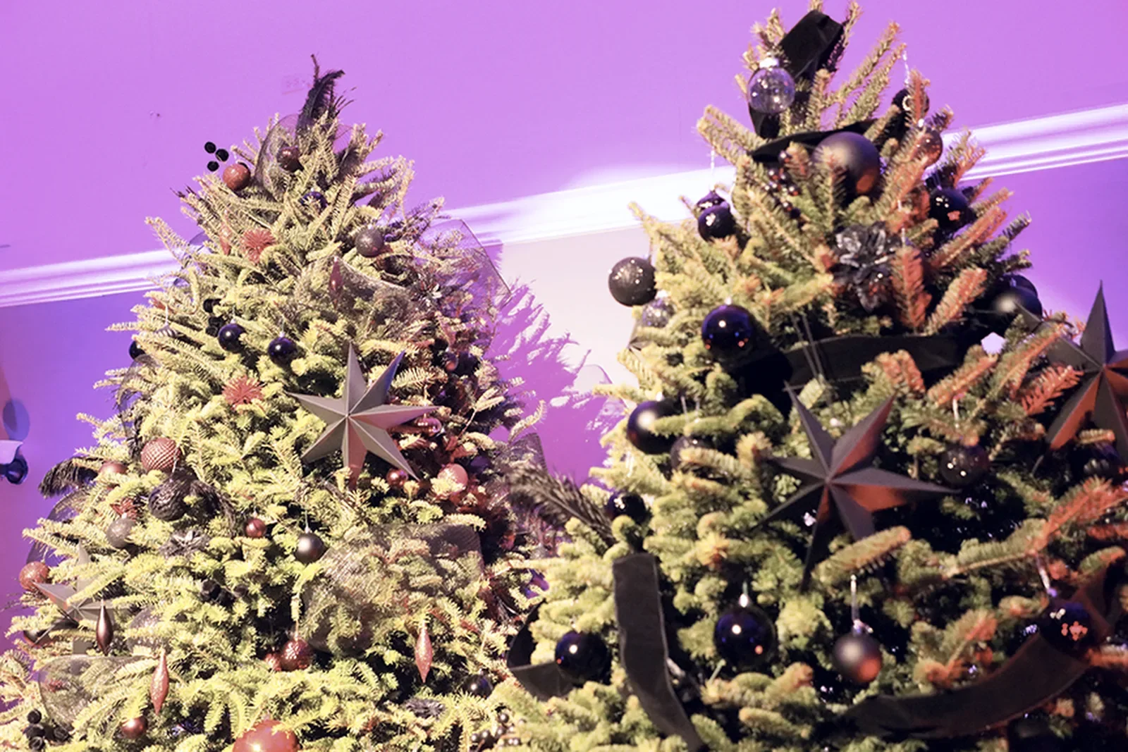 aqua-christmas-masquerade-2022-decor-christmas-tree-with-white-lights-02.webp