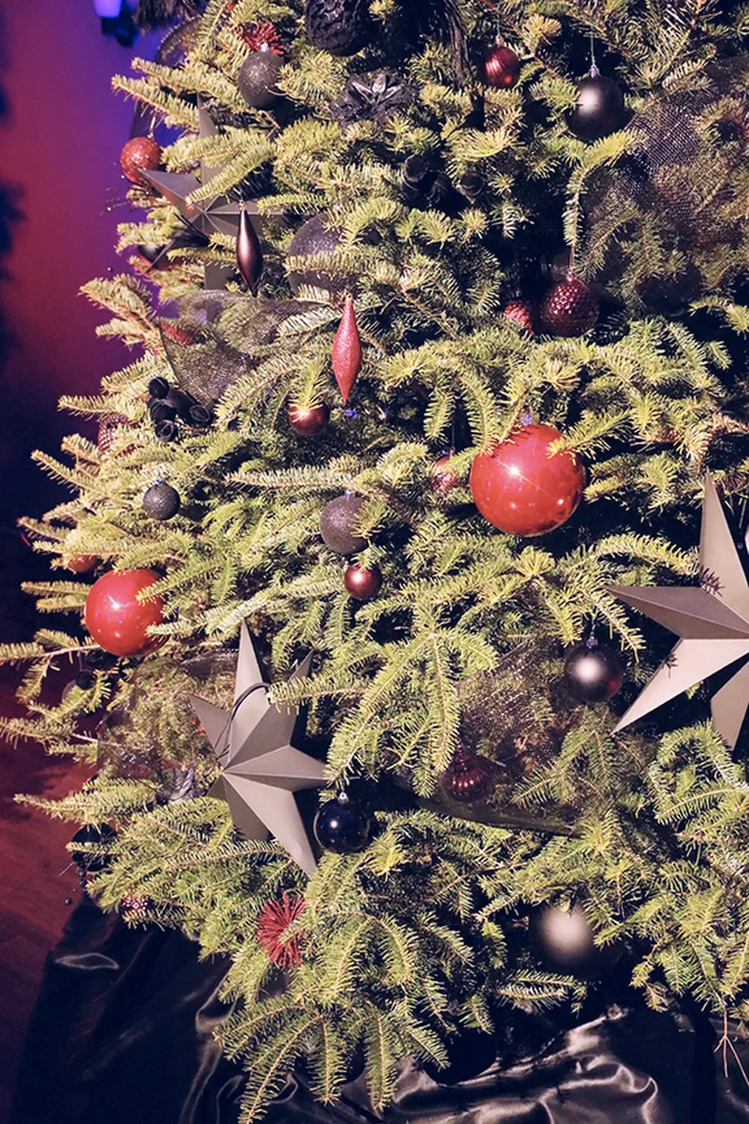 aqua-christmas-masquerade-2022-decor-christmas-trees-with-greenery.webp