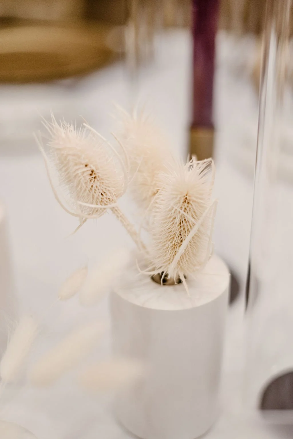 Malinda+Lucas-434.jpg