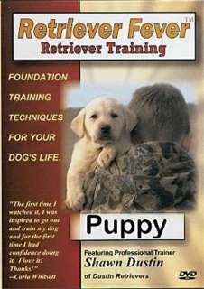 Retriever Fever: Puppy