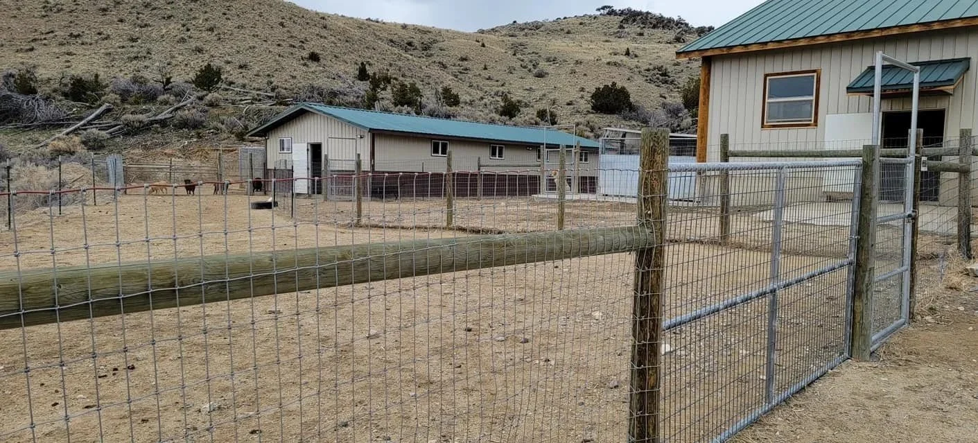 A fenced outdoor area with a dirt ground, two small buildings with metal roofs, and some horses in the background, set against a hilly landscape.