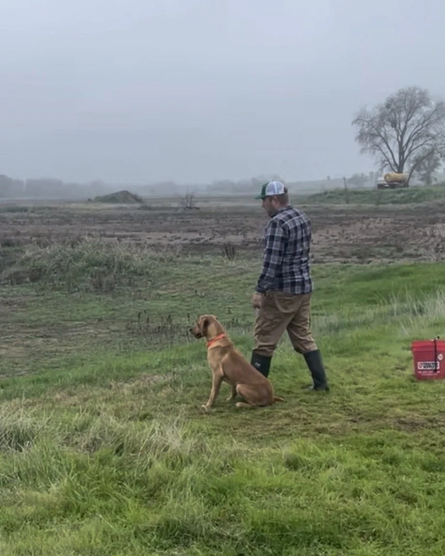 Man in plaid shirt and rubber boots sitting on grass with a brown dog beside him, in a rural field on a cloudy day.