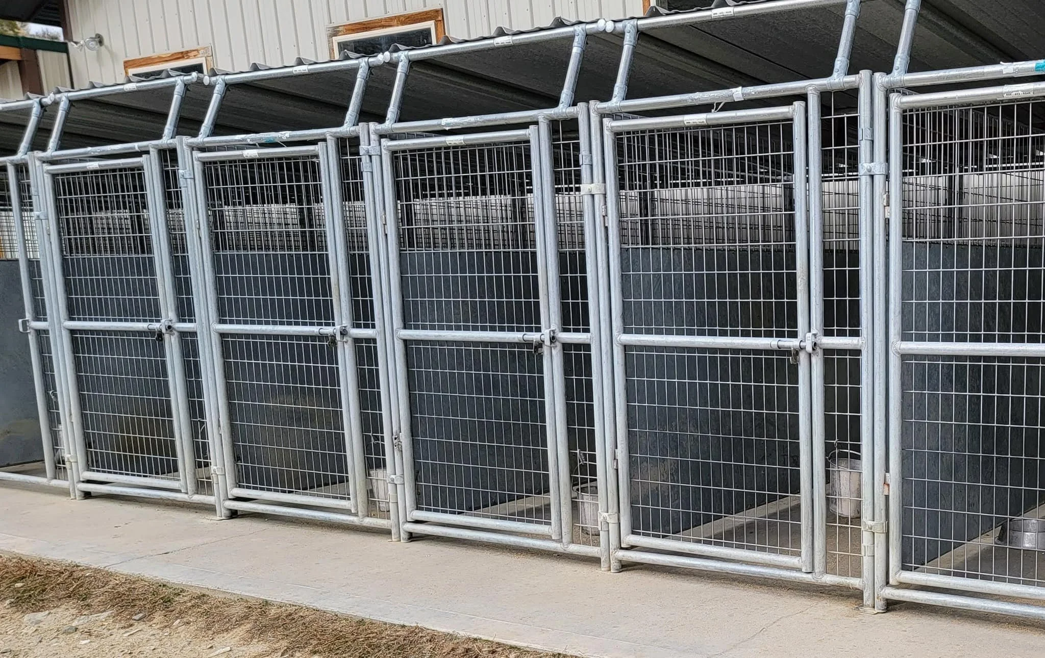 Multiple metal animal enclosures or cages outside a building with a sloped roof, placed on a concrete pad.