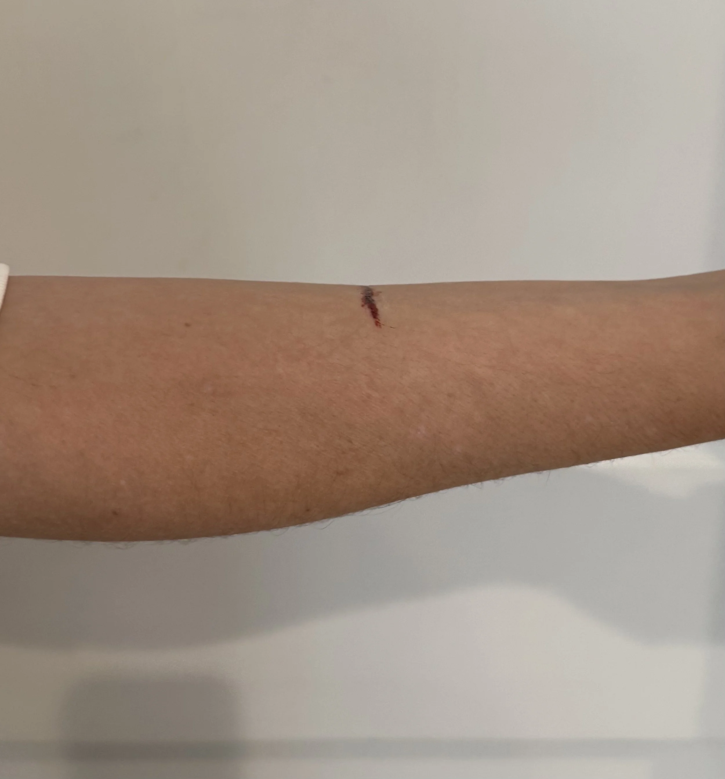 AFTER: Basic FX - Cut