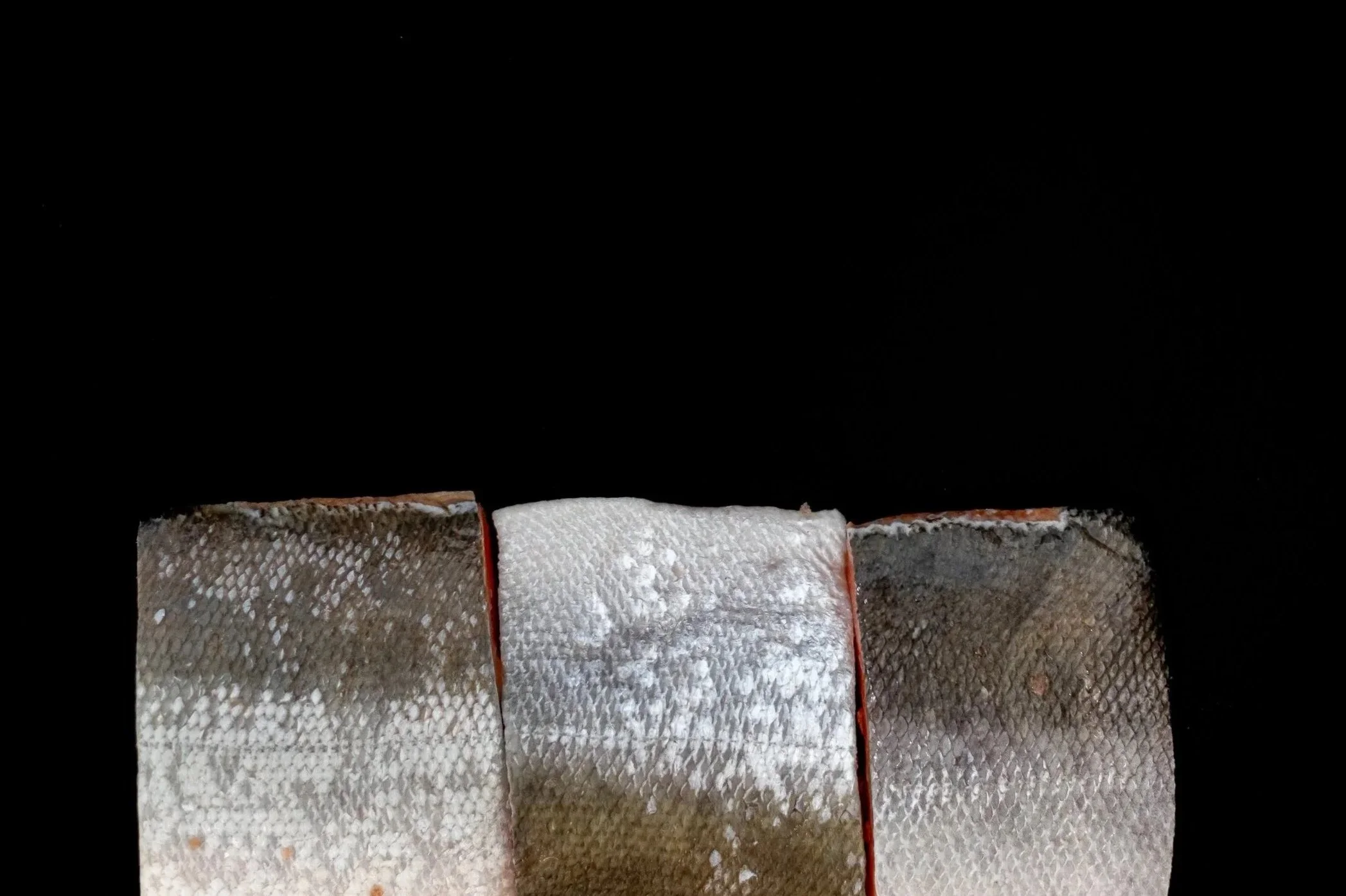 046A2276.jpg