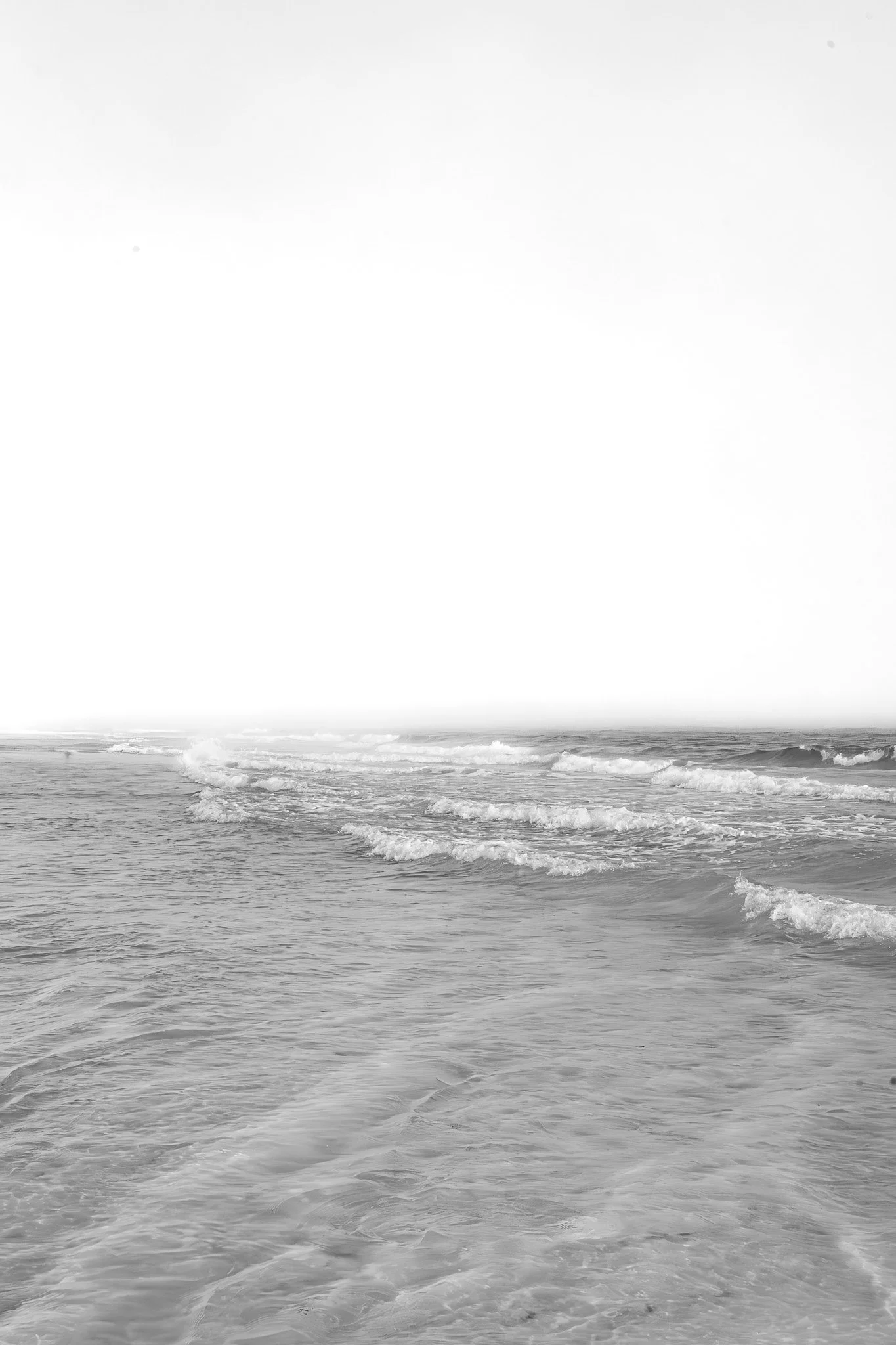 046A2924-Enhanced-NR.jpg