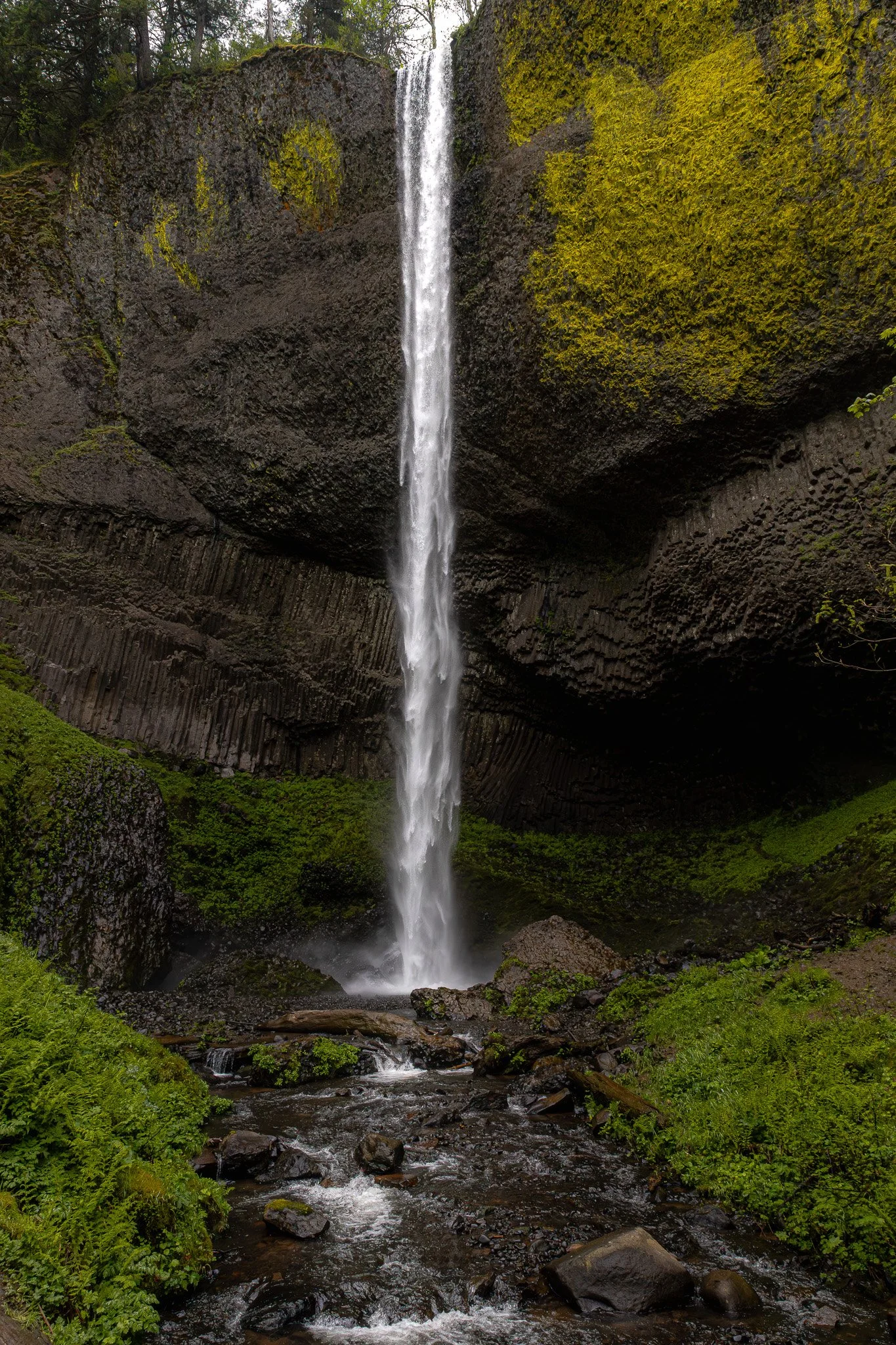 046A9596-Enhanced-NR.jpg