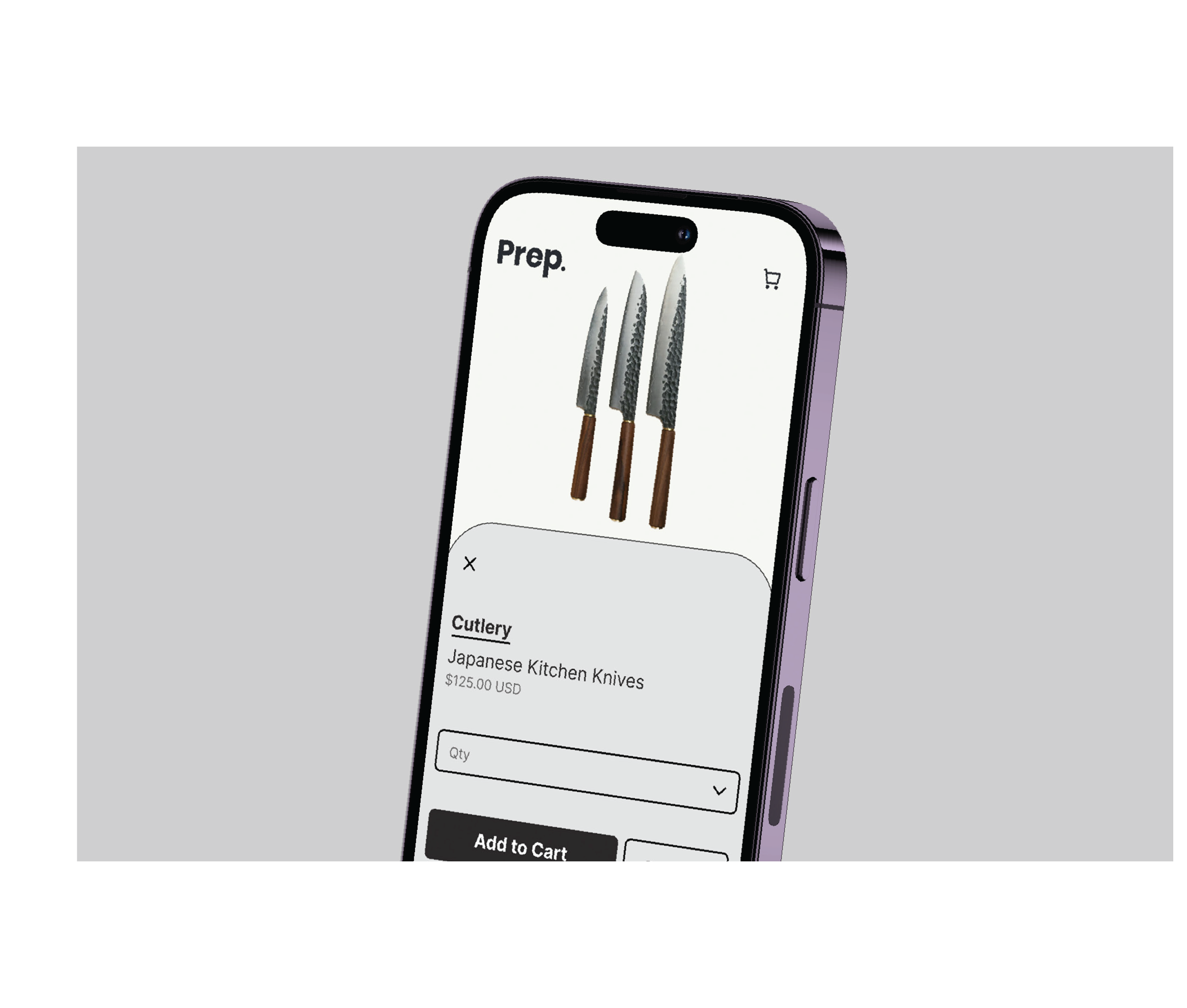 WebApp4.png