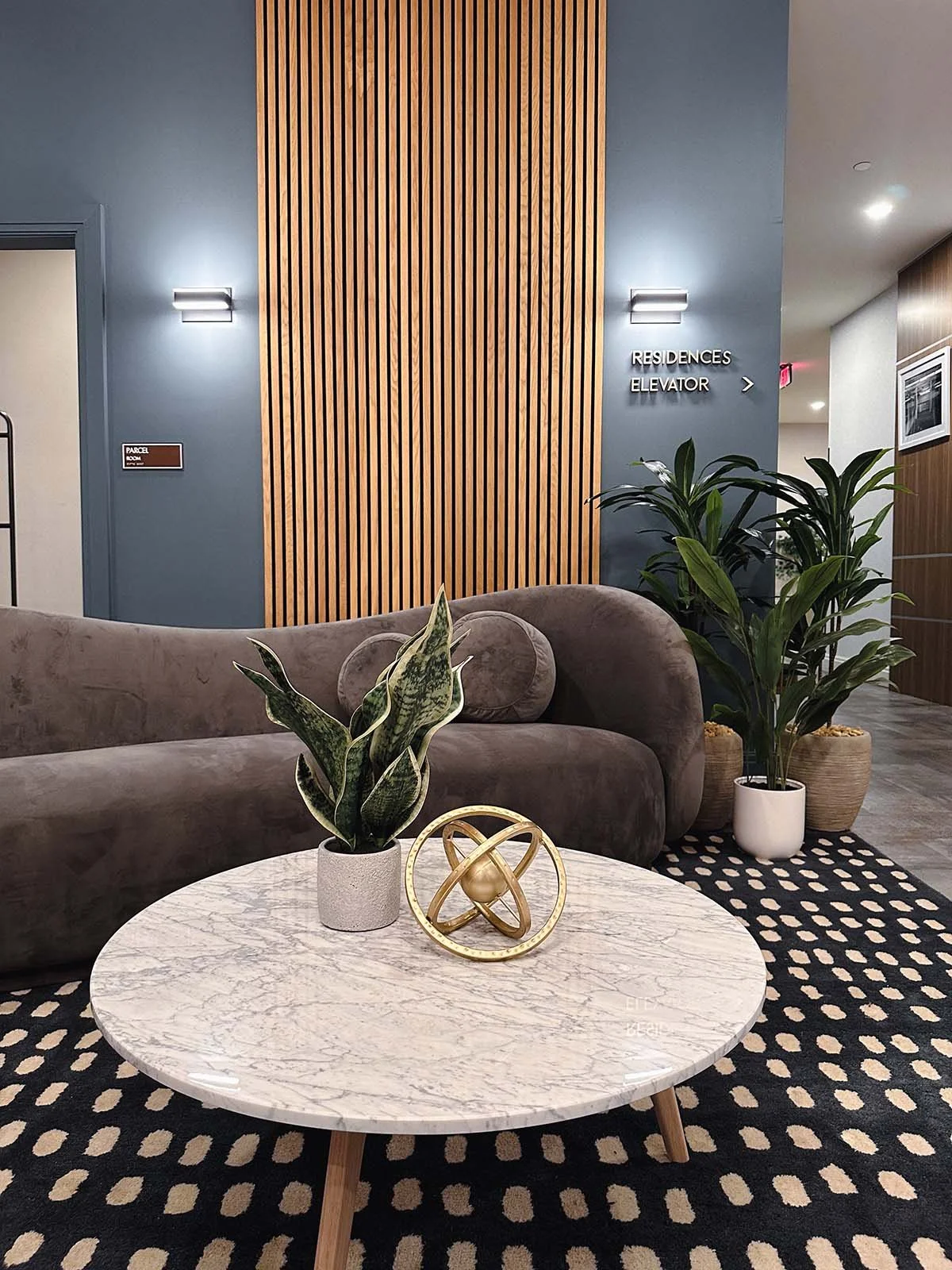 wood slats+curved sofa+coffee table+plants.jpg