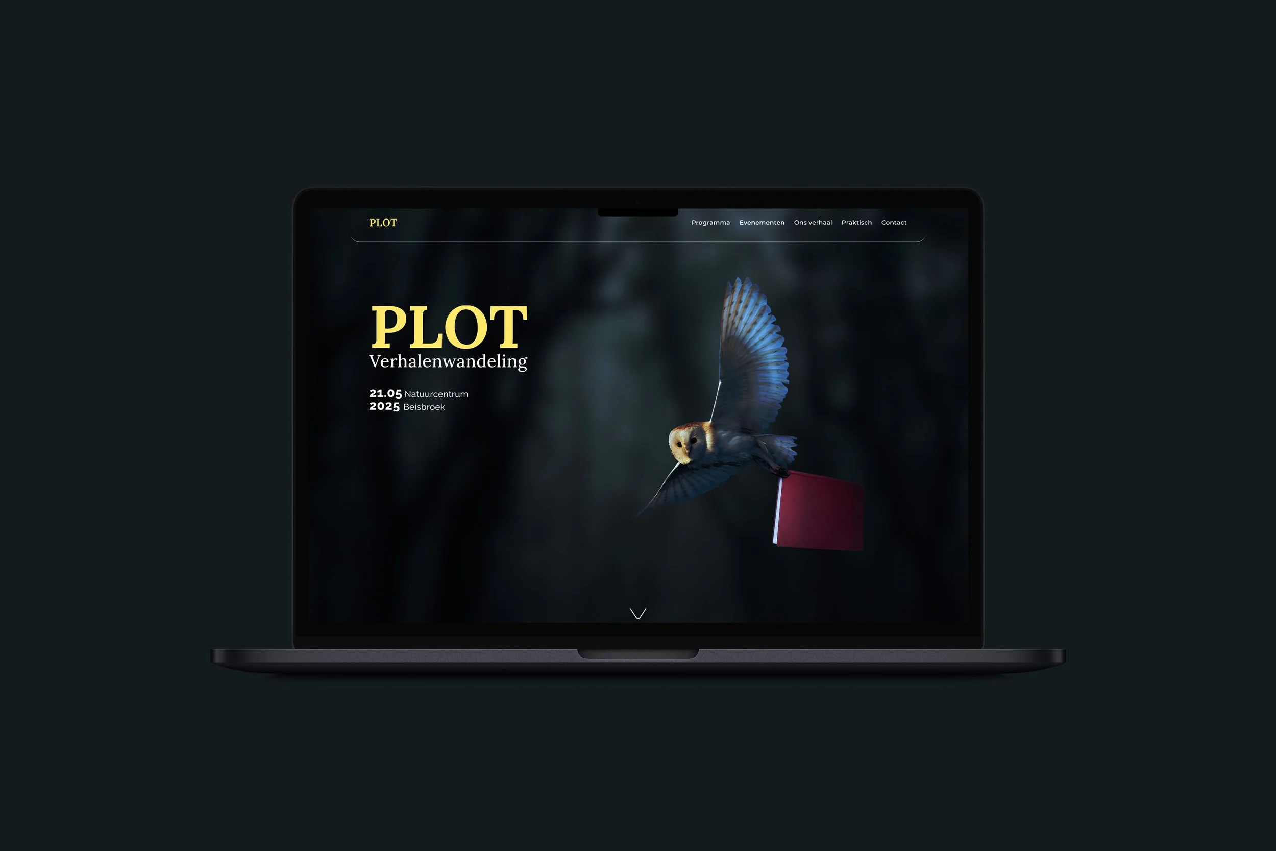 Opdracht2_Plot_mockup_laptop.jpg