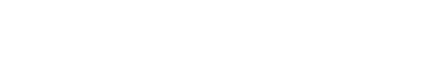 THE CHIC HOME Method™