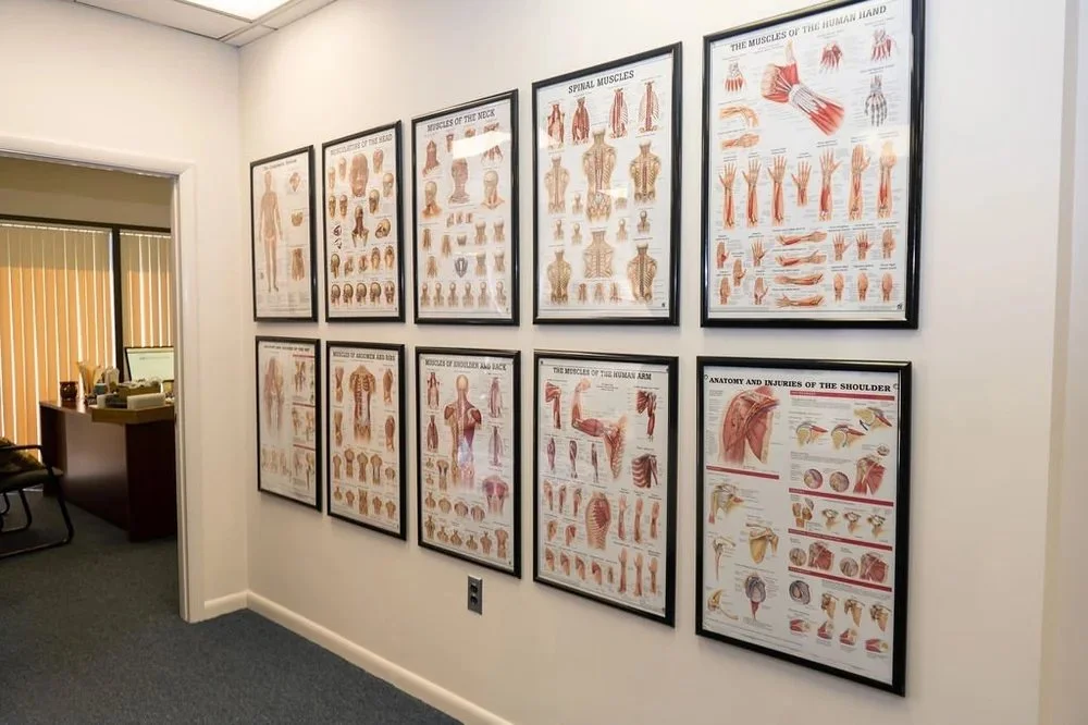 Wall of framed medical posters illustrating muscles, bones, and anatomy of the human body.