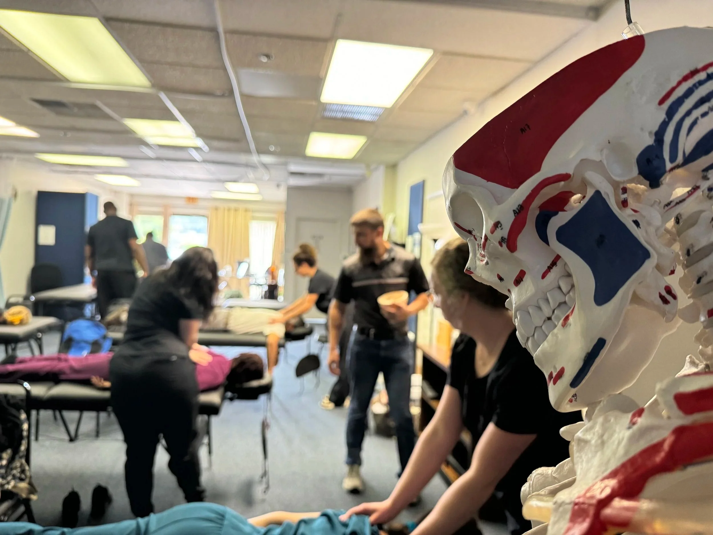 A detailed model of a human skull with red, white, and blue markings is in the foreground, with a classroom or workshop in the background. Several people are standing and sitting, engaged in activity, with some blurred figures and a person speaking at the front of the room.