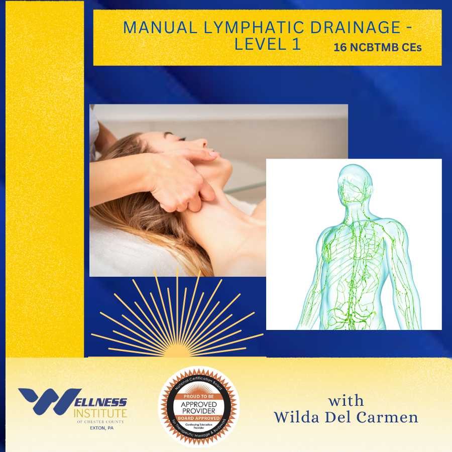 HOLD Manual Lymphatic Drainage Level 1