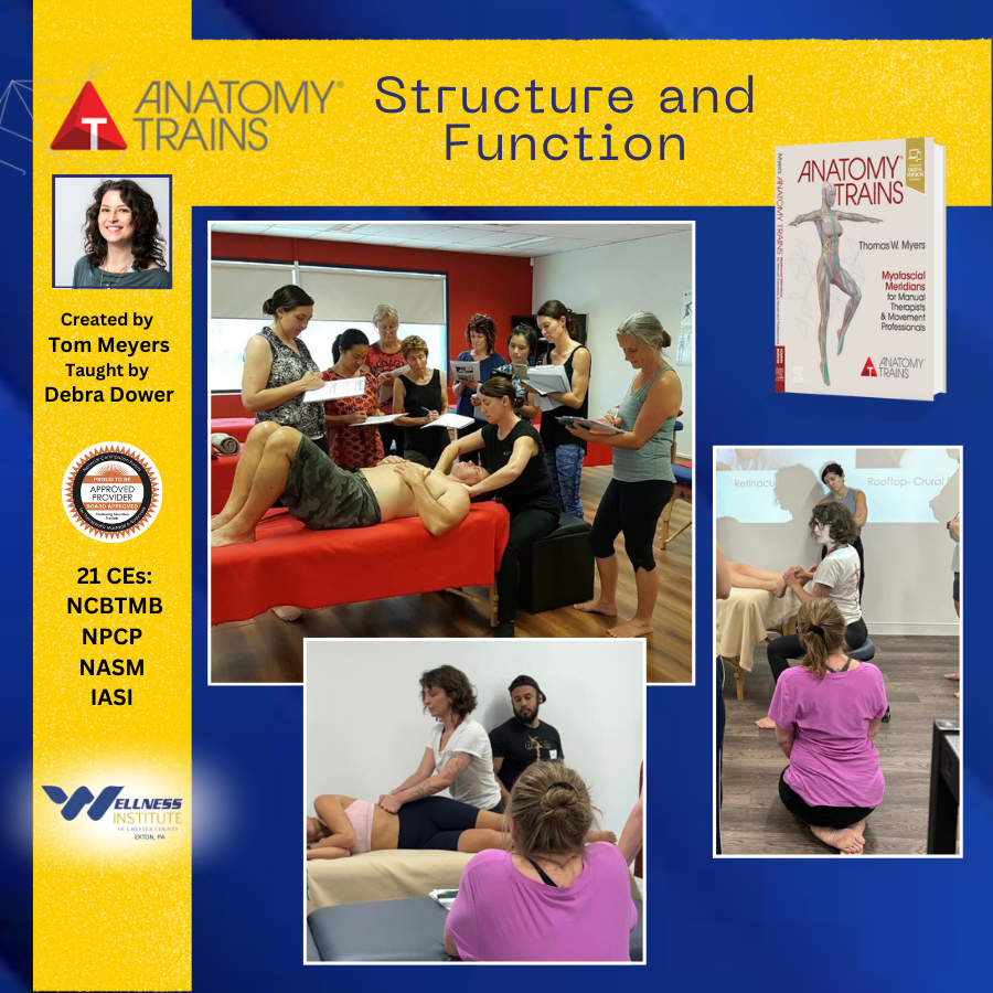 Anatomy Trains Structure and Function; Dec 4-6