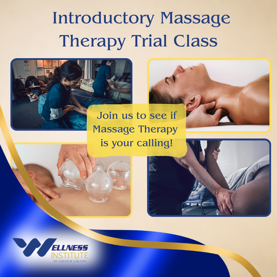 Introduction to Massage Trial Class; Dec 7 AM