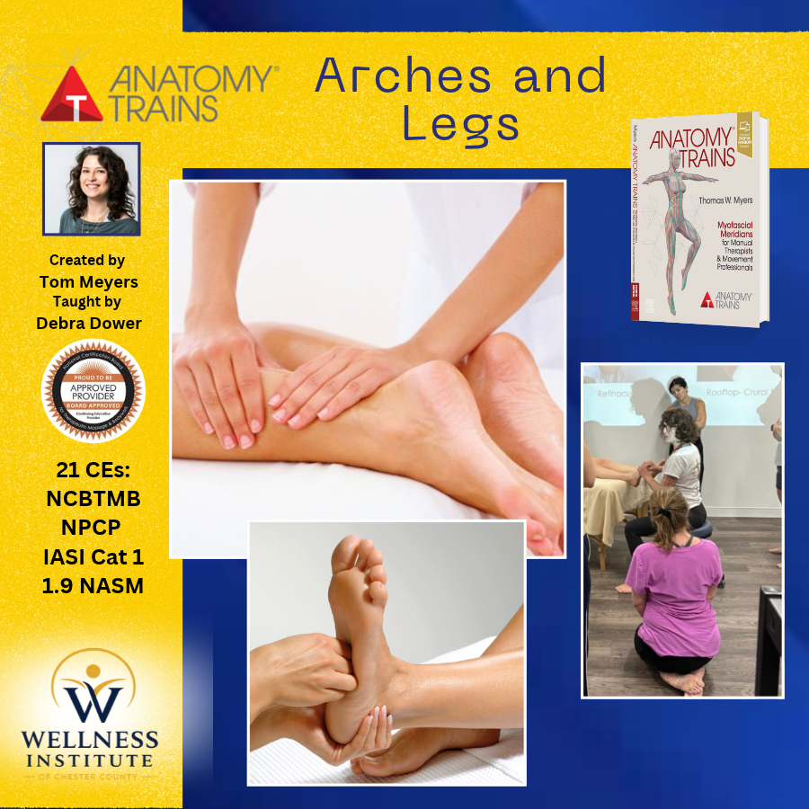 Anatomy Trains Structural Essentials: Arches and Legs; Feb 19-21