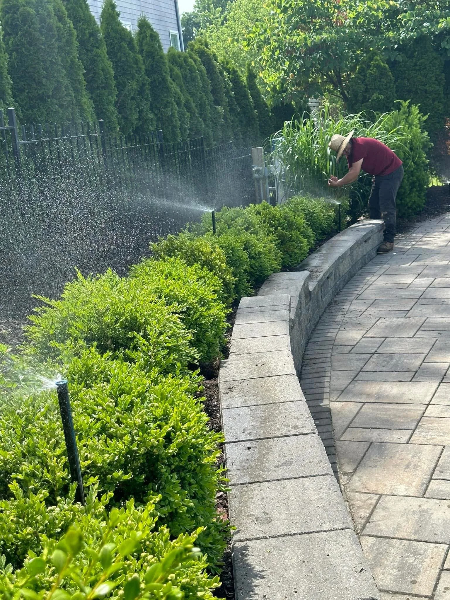 A person wearing a straw hat, maroon shirt, and grey pants is watering plants along a garden bed with a garden hose. The garden is lined with manifold bushes and trees, separated from a patio with stone blocks and pavers.