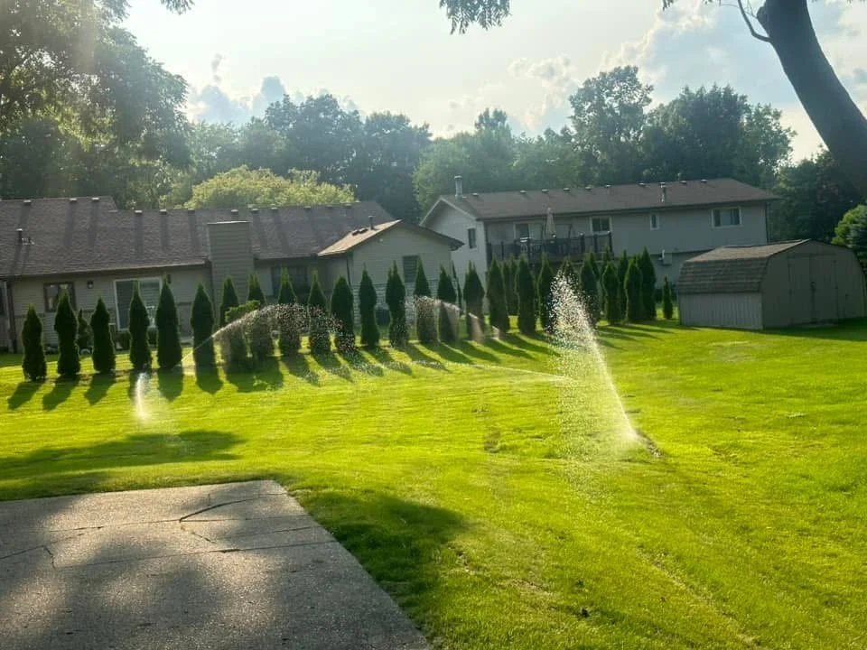 A backyard with green grass, lined with tall shrubs, houses in the background, and watering sprinklers spraying water onto the lawn.