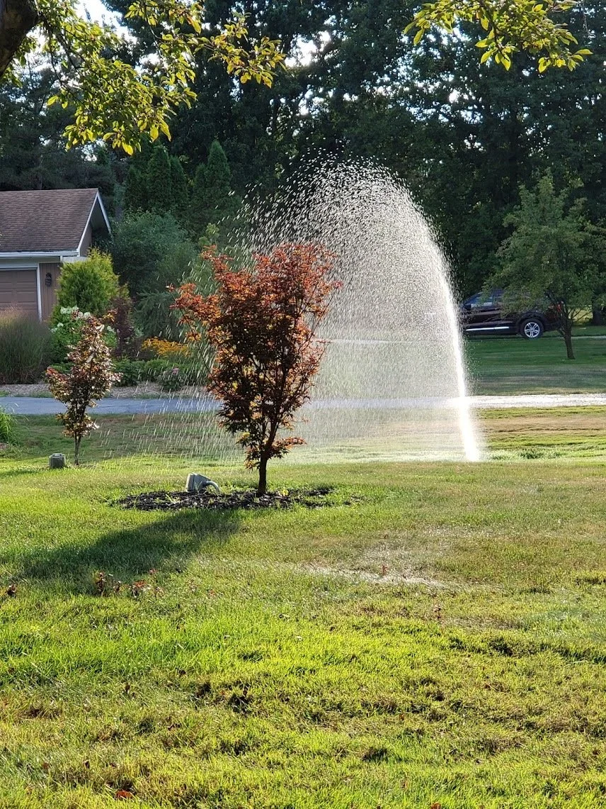 A garden with small trees, a sprinkler spraying water, a house and a parked car in the background, surrounded by green grass and trees.