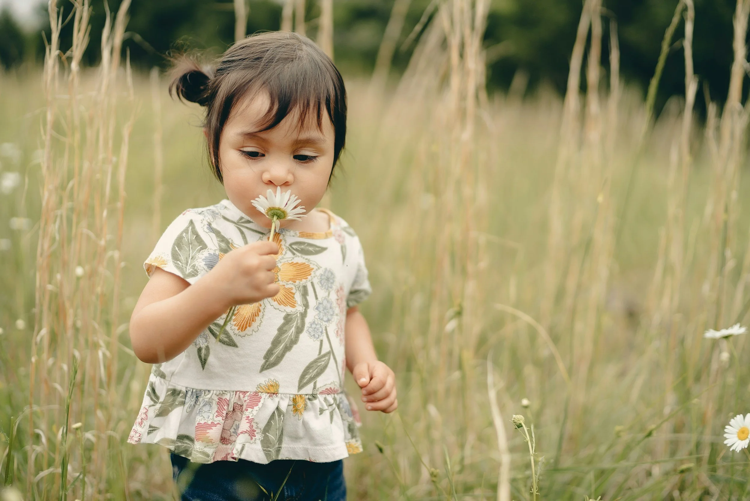 Montessori Sleep Principles for Toddlers: A Gentler Path to Restful Nights