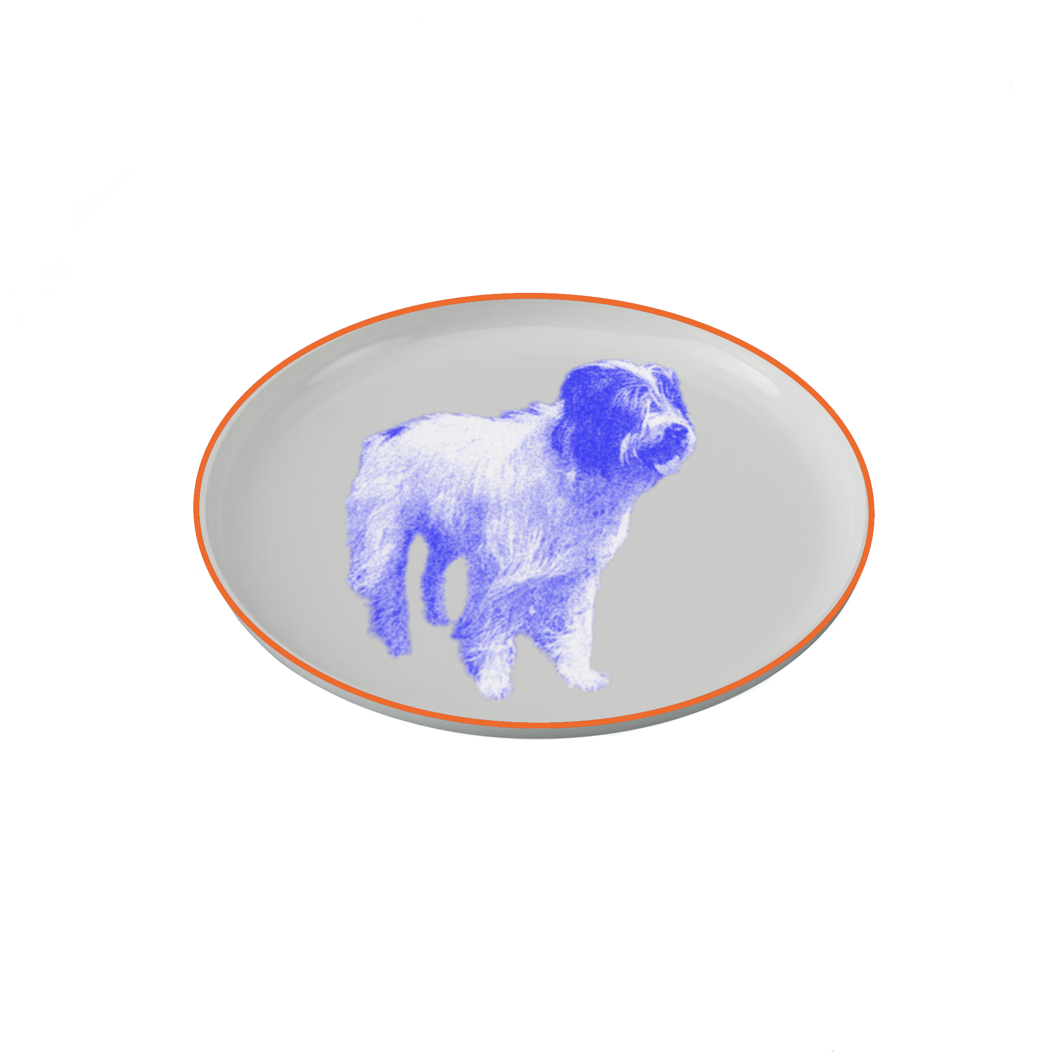 IMG_0249.PNG