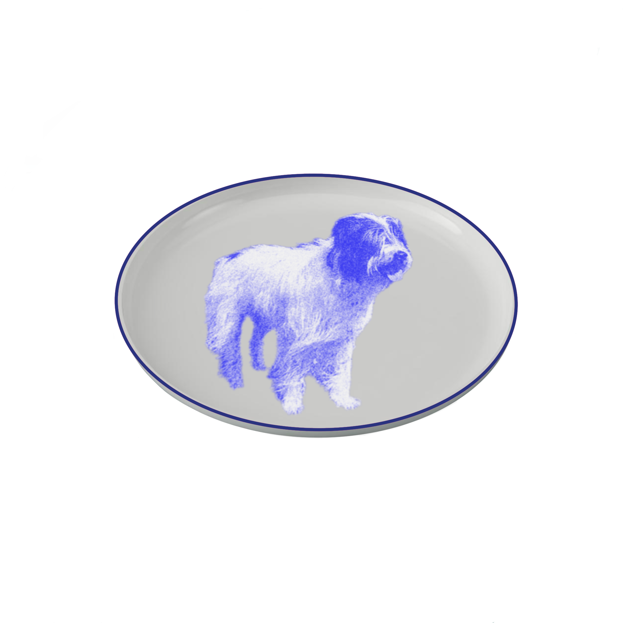 IMG_0247.PNG