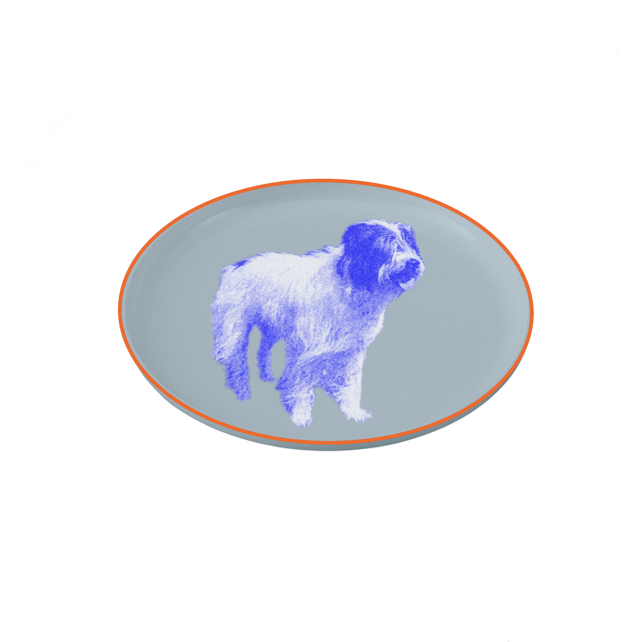 IMG_0218.PNG